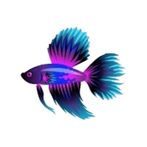 Blue Dorsal Betta